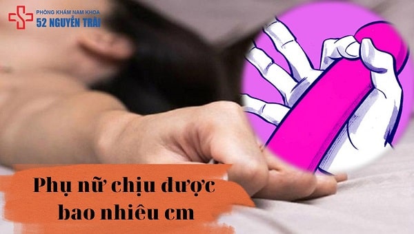 Phụ nữ chịu được bao nhiêu cm là tối đa