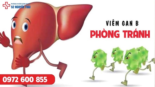 Phòng tránh viêm gan B bằng cách nào ?