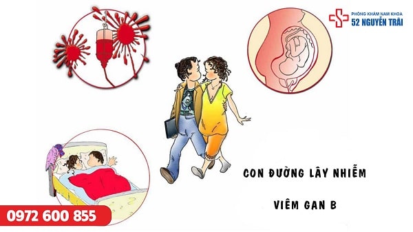 Viêm gan B lây truyền qua con đường nào ?