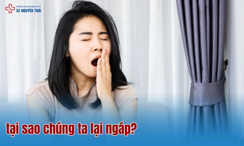 Tại sao chúng ta lại ngáp?