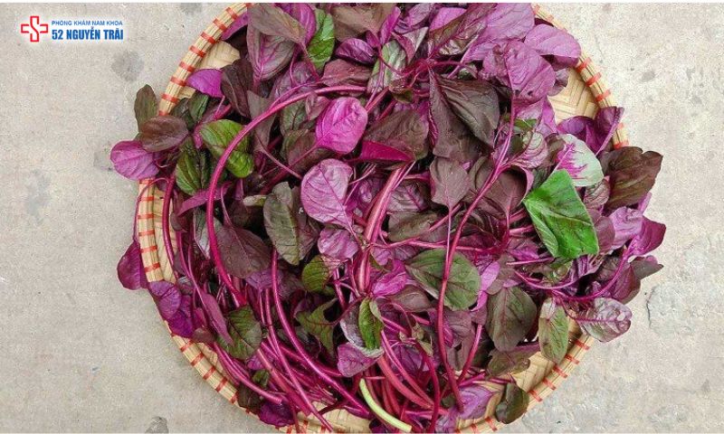 Ăn rau dền thường xuyên tốt cho tiêu hoá, phòng ngừa táo bón