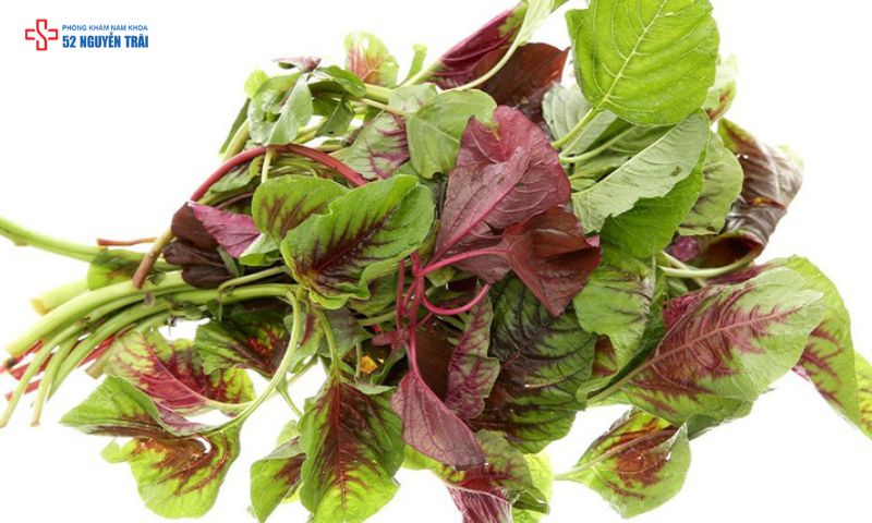 Rau dền có tác dụng thanh nhiệt, giải độc và ổn định huyết áp