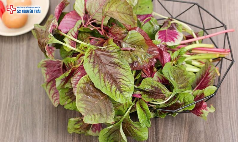 Rau dền là nguồn cung cấp canxi và sắt dồi dào và phong phú