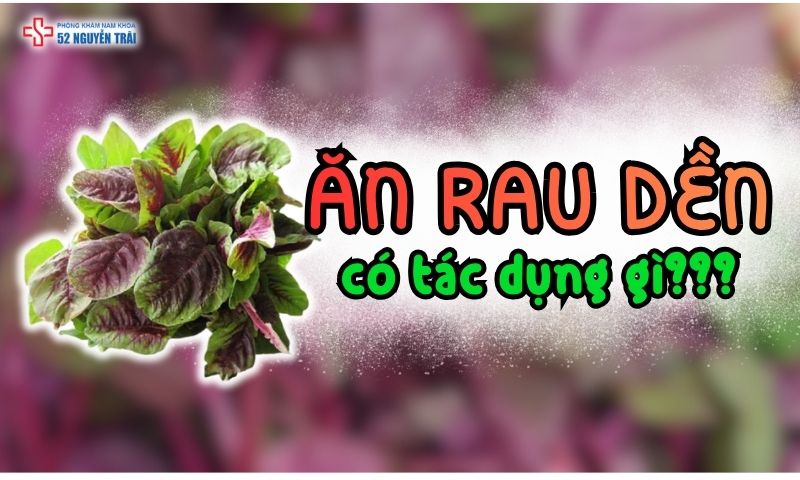 Ăn rau dền có tác dụng gì với sức khoẻ?