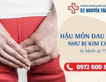 Hậu môn đau như bị kim châm là bệnh gì ?